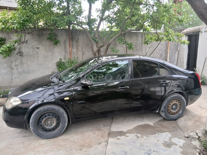 Nissan Primera 2005, 520,000 km - 1.8 l - Kürdəmir