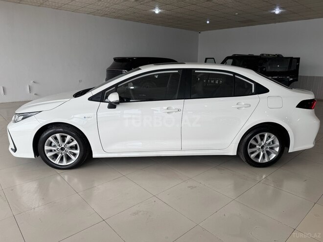Toyota Corolla-4
