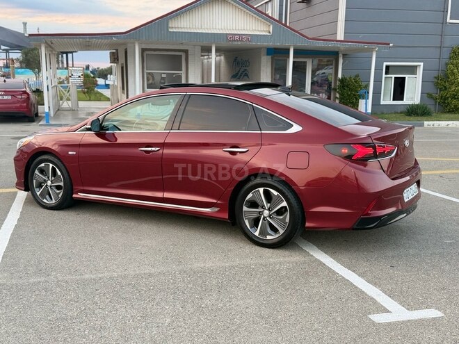 Hyundai Sonata-16