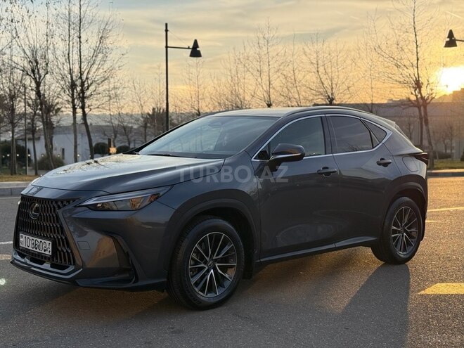 Lexus NX 200 2023, 13,500 km - 2.0 l - Bakı