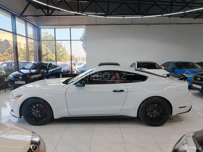 Ford Mustang-6