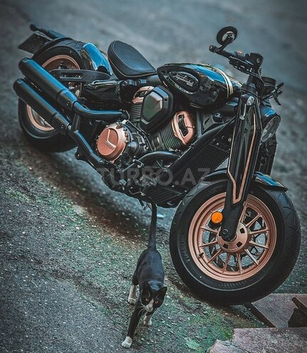 Benda Napoleon 500-2