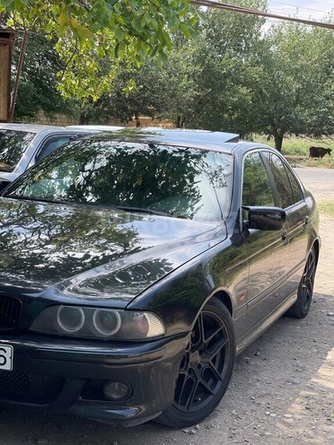 BMW 525 2003, 288,565 km - 2.5 l - Gəncə