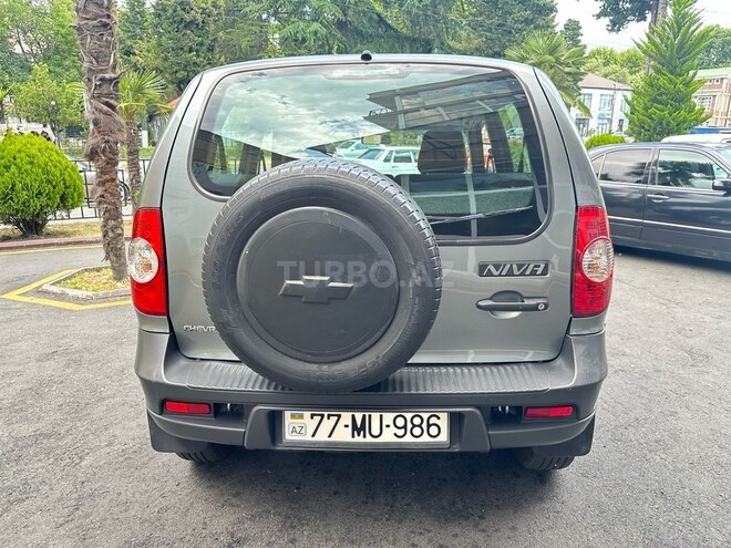 Chevrolet Niva 2016, 53,200 km - 1.7 l - Zaqatala