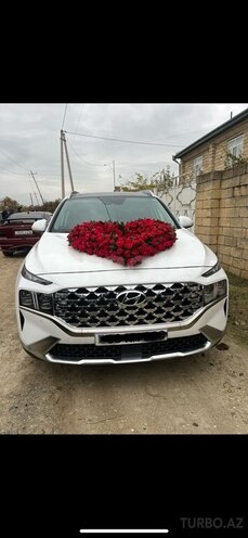 Hyundai Santa Fe-8