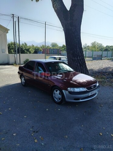 Opel Vectra 1996, 330,000 km - 1.6 l - Qəbələ