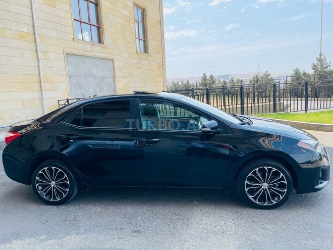 Toyota Corolla-6