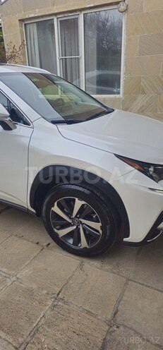 Lexus NX 300h 2020, 75,000 km - 2.5 l - Bakı
