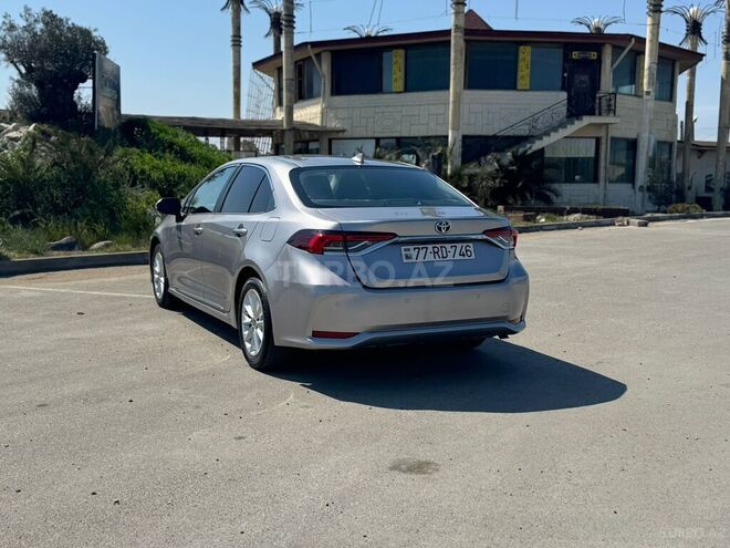 Toyota Corolla-3