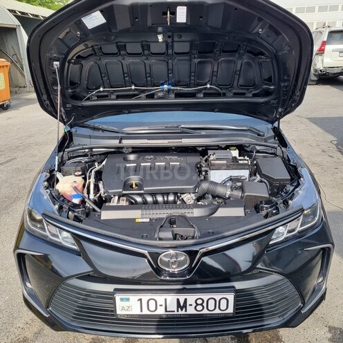 Toyota Corolla-15