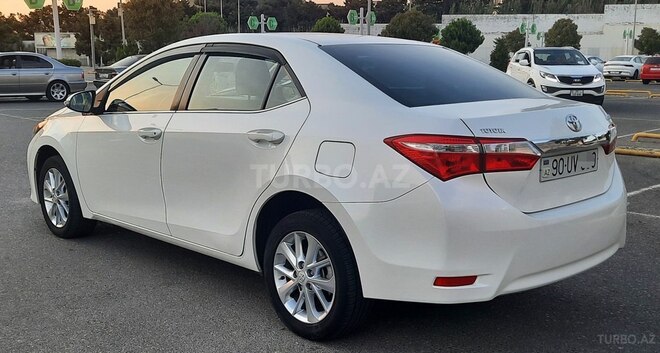 Toyota Corolla-12