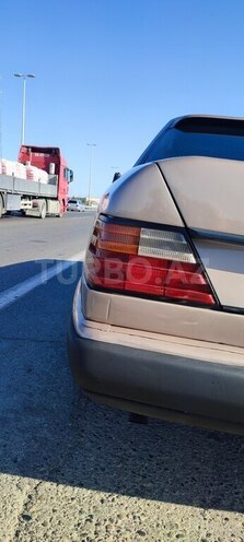 Mercedes E 220 1992, 600,000 km - 2.2 l - Salyan