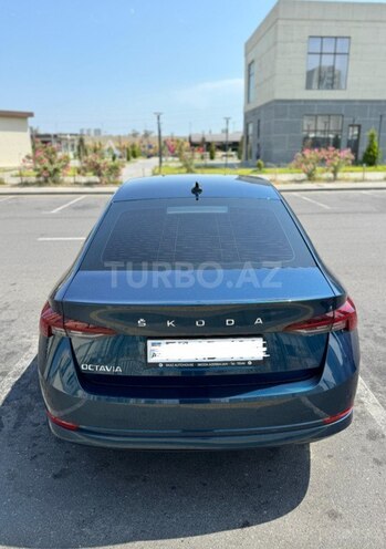 Skoda Octavia 2023, 55,250 km - 1.4 л - Bakı