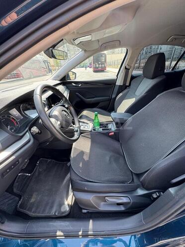 Skoda Octavia 2023, 55,250 km - 1.4 л - Bakı