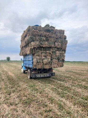 GAZ 53 1992, 231,450 km - 4.5 l - Biləsuvar