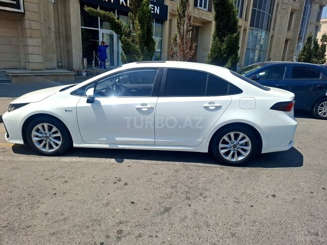 Toyota Corolla-2