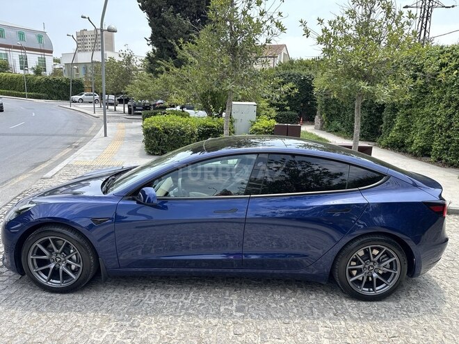 Tesla Model 3-7