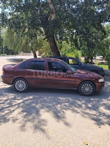 Opel Vectra 1996, 535,000 km - 2.0 l - Qəbələ