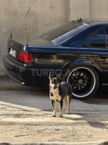 BMW 728-13
