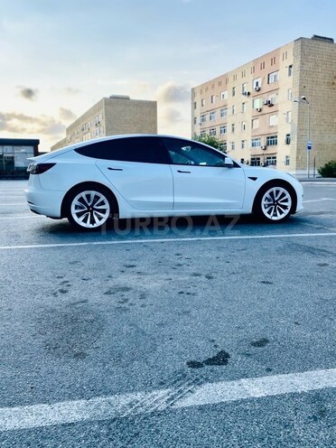 Tesla Model 3-11