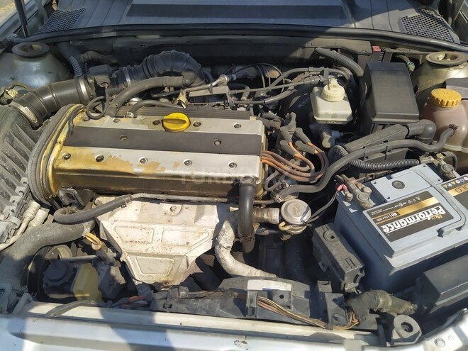 Opel Vectra 1996, 520,000 km - 2.0 l - Qəbələ