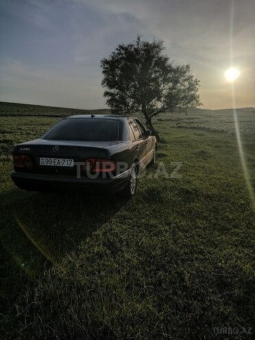 Mercedes E 240 1999, 254,868 km - 2.4 l - Şəmkir