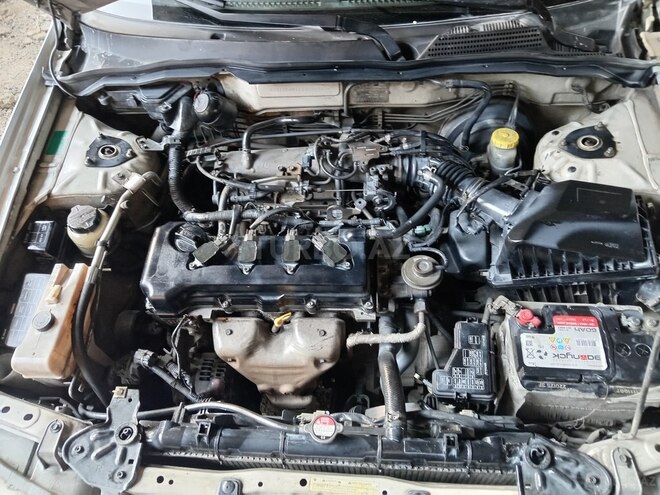 Nissan Sunny 2005, 389,000 km - 1.6 л - Bakı