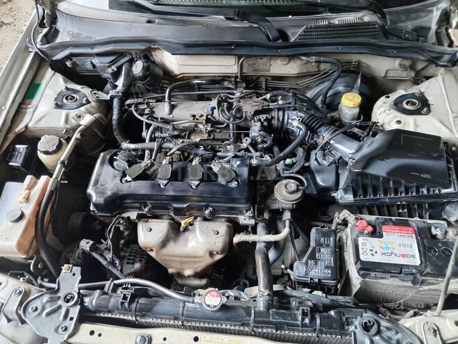 Nissan Sunny 2005, 389,000 km - 1.6 л - Bakı
