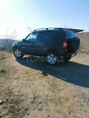 Chevrolet Niva 2009, 202,800 km - 1.7 l - İsmayıllı