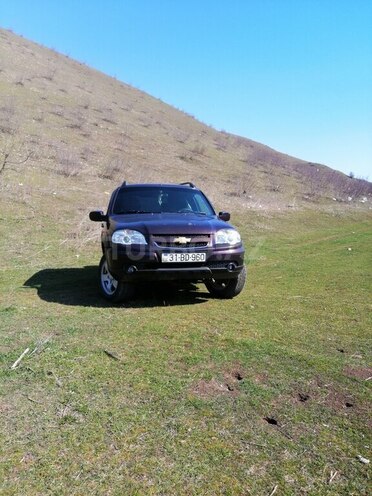 Chevrolet Niva 2009, 202,800 km - 1.7 l - İsmayıllı