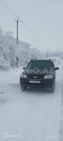Chevrolet Niva 2009, 202,800 km - 1.7 l - İsmayıllı