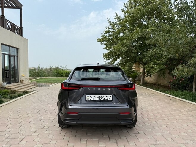 Lexus NX 200 2022, 30,406 km - 2.0 l - Bakı