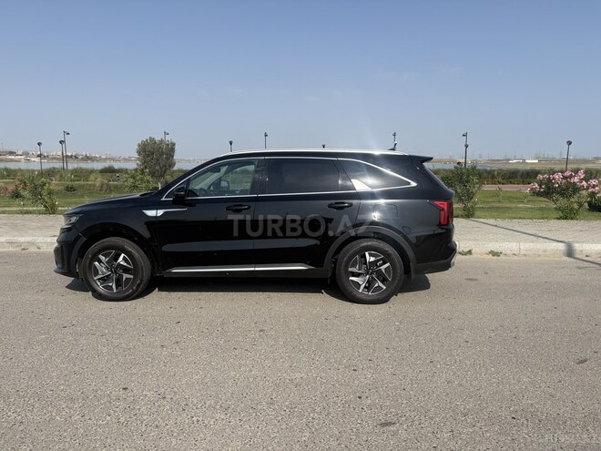 Kia Sorento 2023, 80,000 km - 1.6 l - Bakı