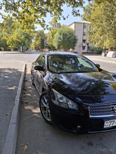 Nissan Maxima 2011, 220 km - 3.5 l - Mingəçevir
