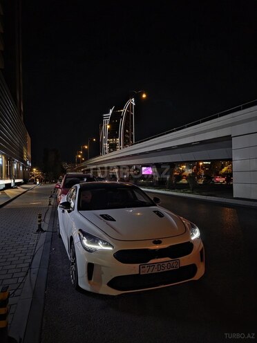 Kia Stinger 2019, 79,500 km - 2.0 l - Bakı