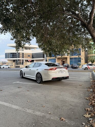 Kia Stinger 2018, 98,000 km - 2.0 l - Bakı