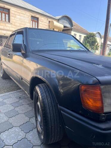 Mercedes 250 D 1987, 320,000 km - 2.5 l - Qazax