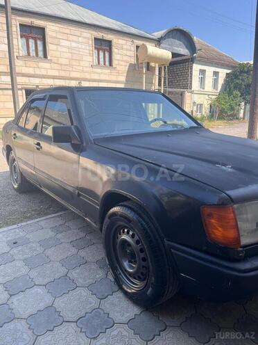 Mercedes 250 D 1987, 320,000 km - 2.5 l - Qazax