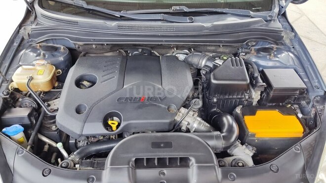 Kia  2008, 290,865 km - 1.6 l - Şirvan