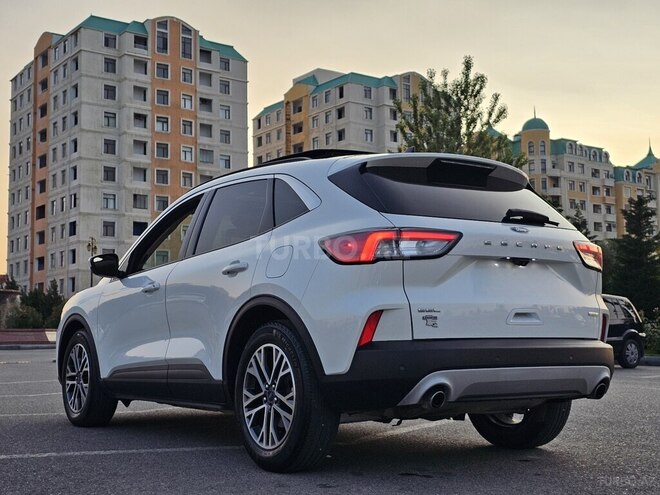 Ford Escape 2019, 50,000 km - 1.5 l - Bakı