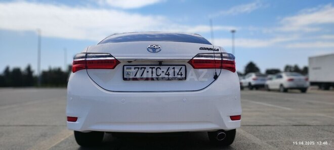 Toyota Corolla-4