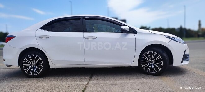 Toyota Corolla-6