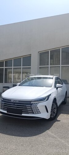 BYD Destroyer 05-1