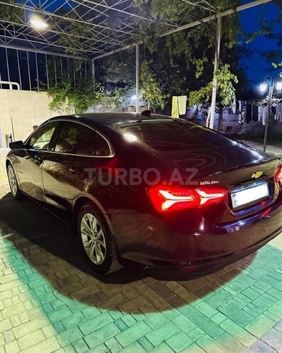Chevrolet Malibu 2019, 145,000 km - 1.5 л - Şamaxı