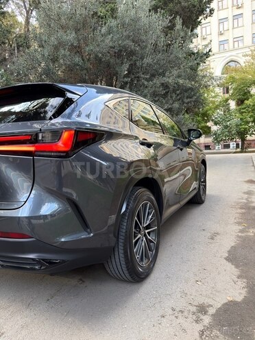Lexus NX 350h 2022, 18,300 km - 2.5 l - Bakı