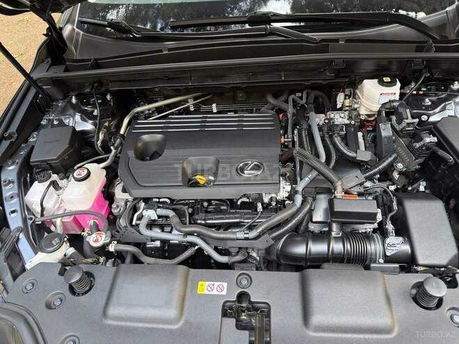 Lexus NX 350h 2022, 18,300 km - 2.5 l - Bakı