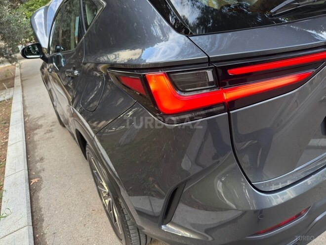 Lexus NX 350h 2022, 18,300 km - 2.5 l - Bakı