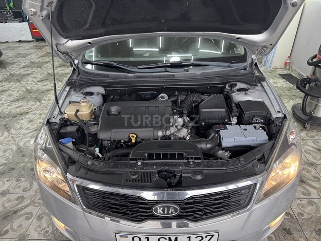 Kia  2010, 335,905 km - 1.6 l - Qəbələ