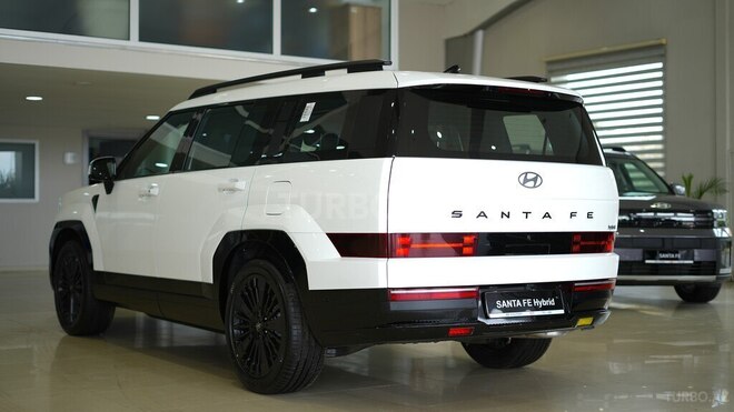 Hyundai Santa Fe-37