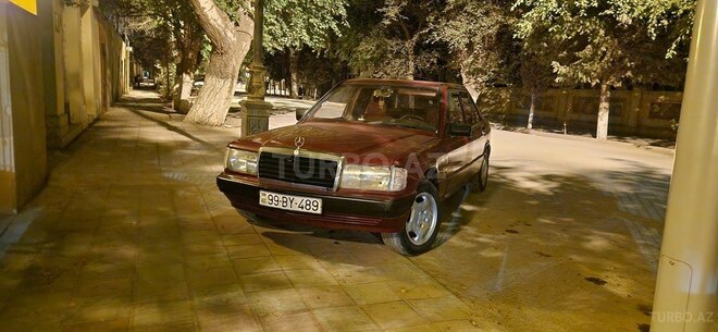 Mercedes 190 1990, 235,235 km - 2.0 l - Salyan
